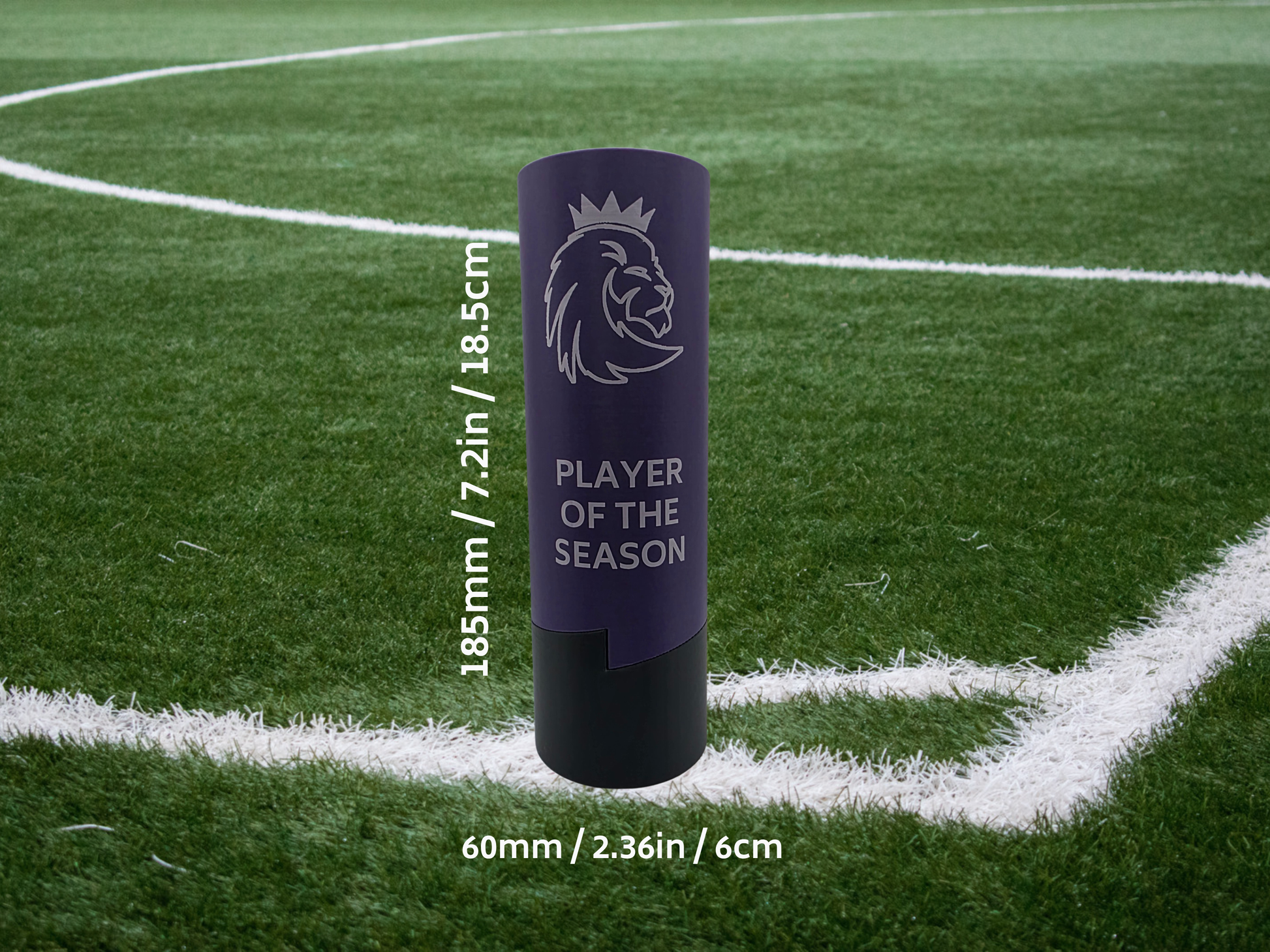 playeroftheseasonfootball.png